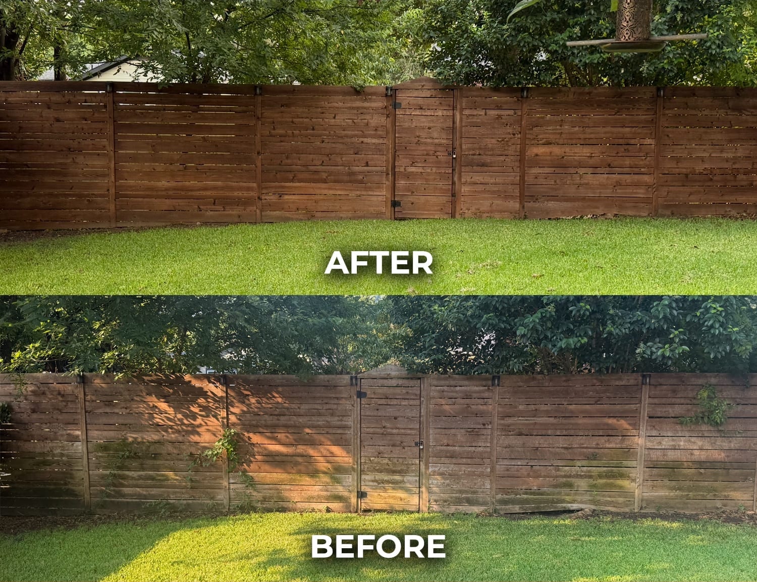 Cedar fence restoration in Oak Cliff, Dallas — before and after cleaning and staining weathered gray boards back to warm cedar